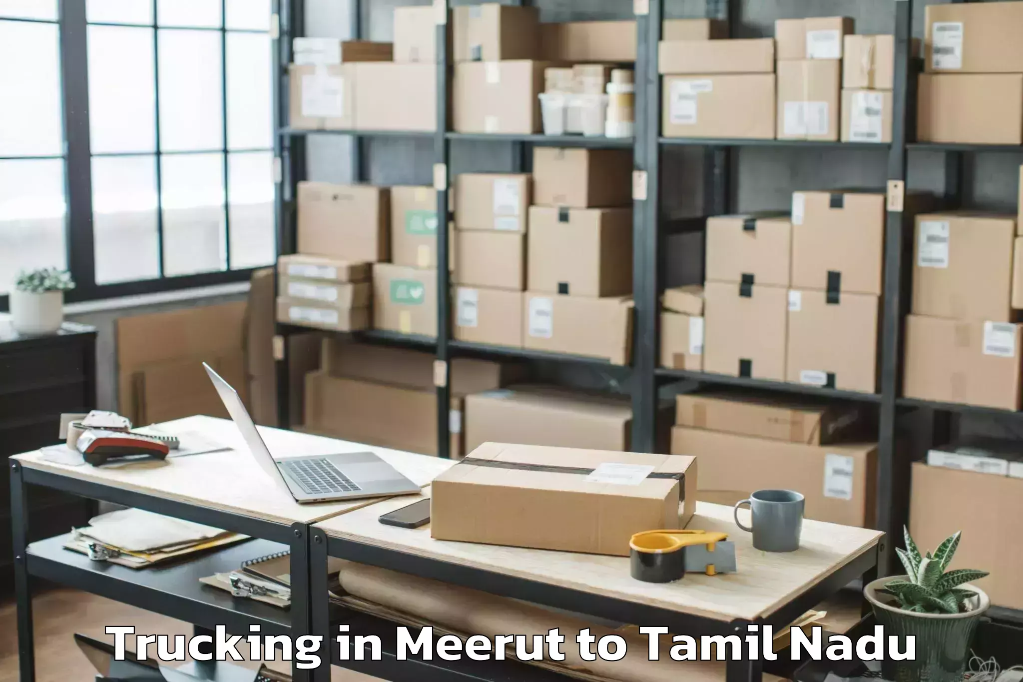 Professional Meerut to Cumbum Trucking